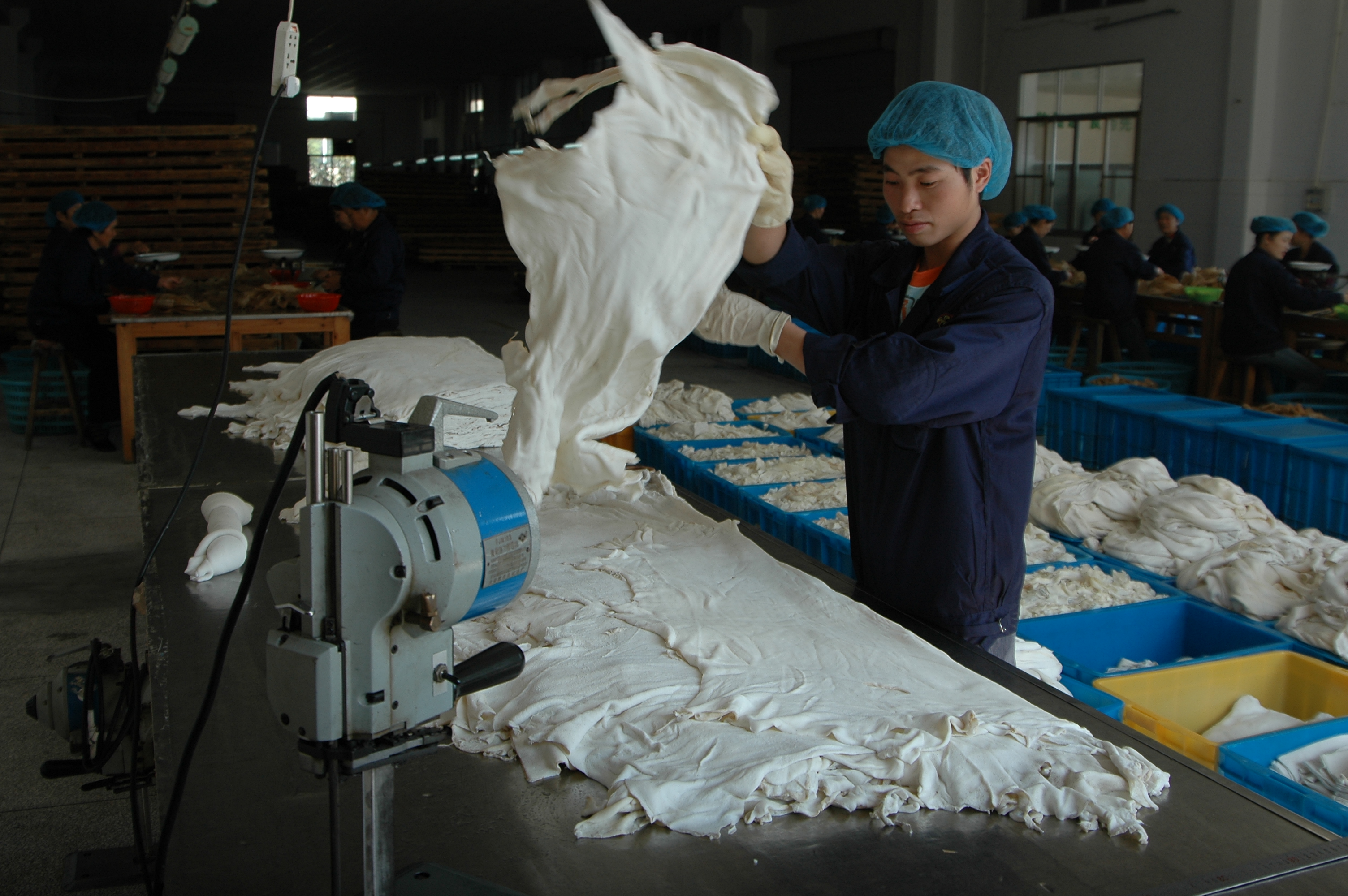 Zhejiang Lucheng Pet Supplies Co., Ltd. – cat toys 3
