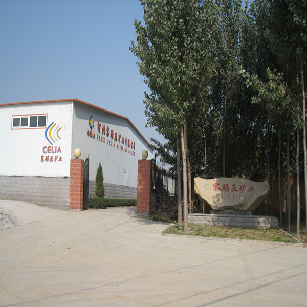 Shijiazhuang Rijia Import and Export Trading Co., Ltd. – Mica powder 1