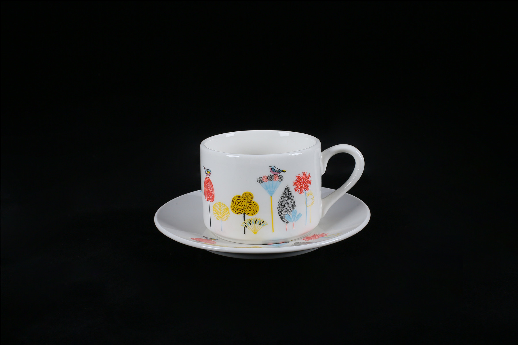 220cc Porcelain Cup And Saucer Set