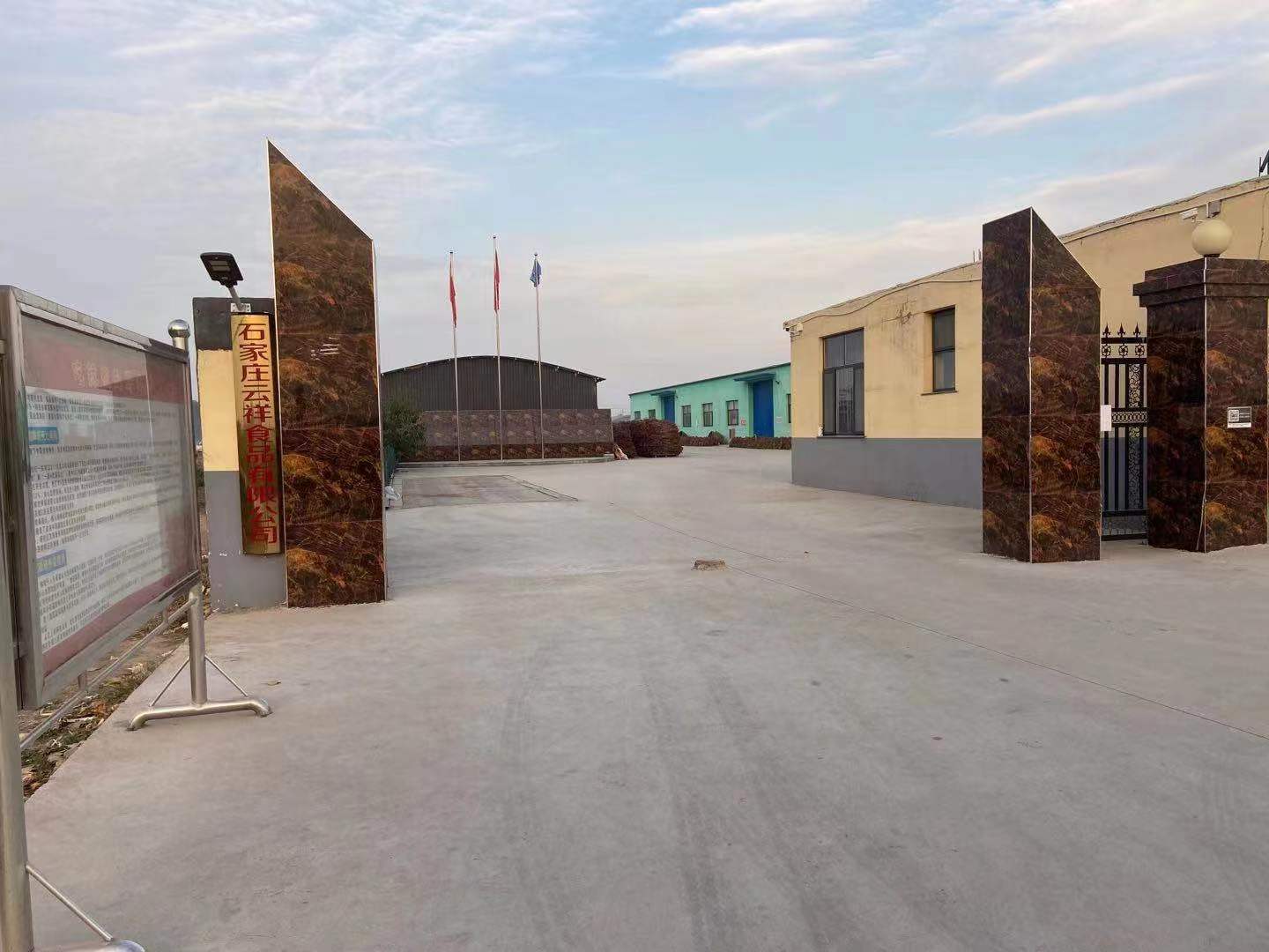 Shijiazhuang Yunxiang Food Co., Ltd. – dried chili pepper 1