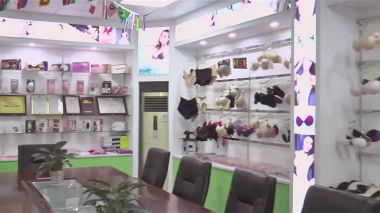 Qingdao Dongheng Fashion Co., Ltd. – Bras 1