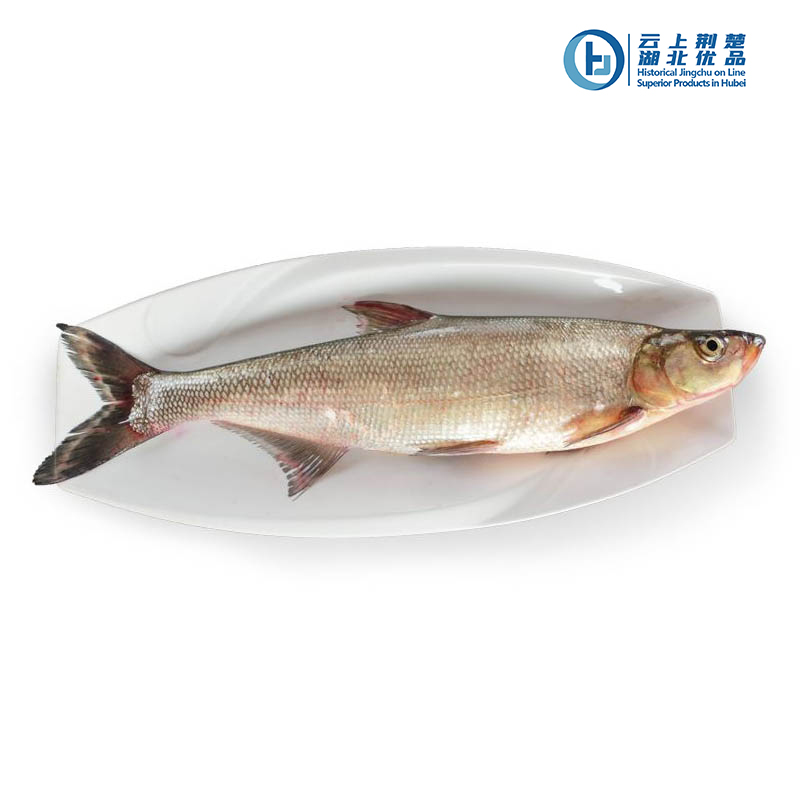 Hubei Bo'ao Food Co.,Ltd – bicicleta de montaña 3