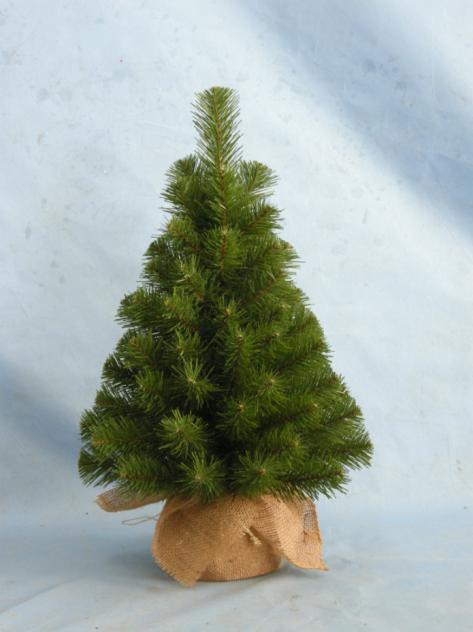 Yongxin County Creative Arts and Crafts Co., Ltd.. – Christmas trees 3