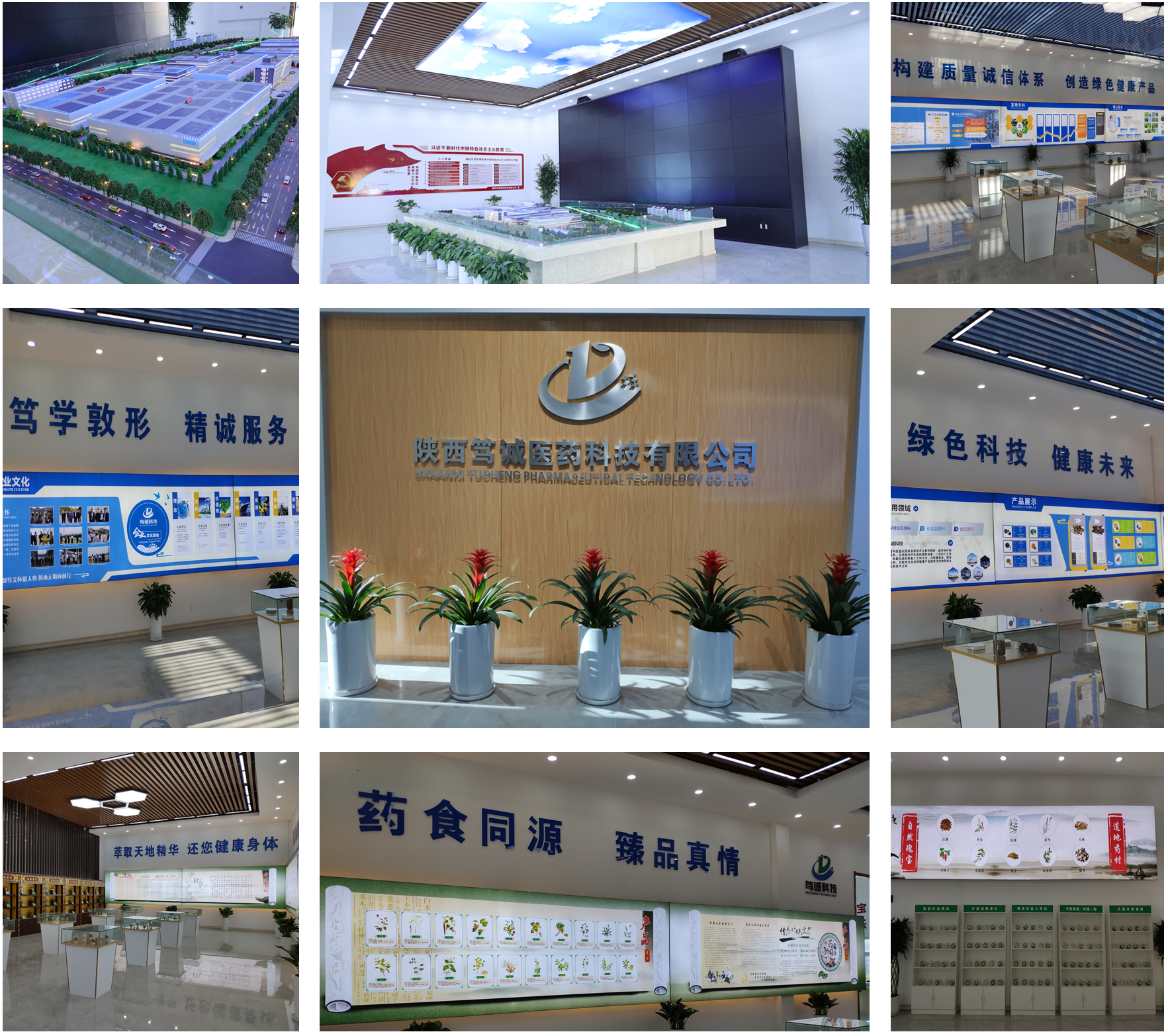 Shaanxi Duocheng Pharmaceutical Technology Co., Ltd. – other foods 3