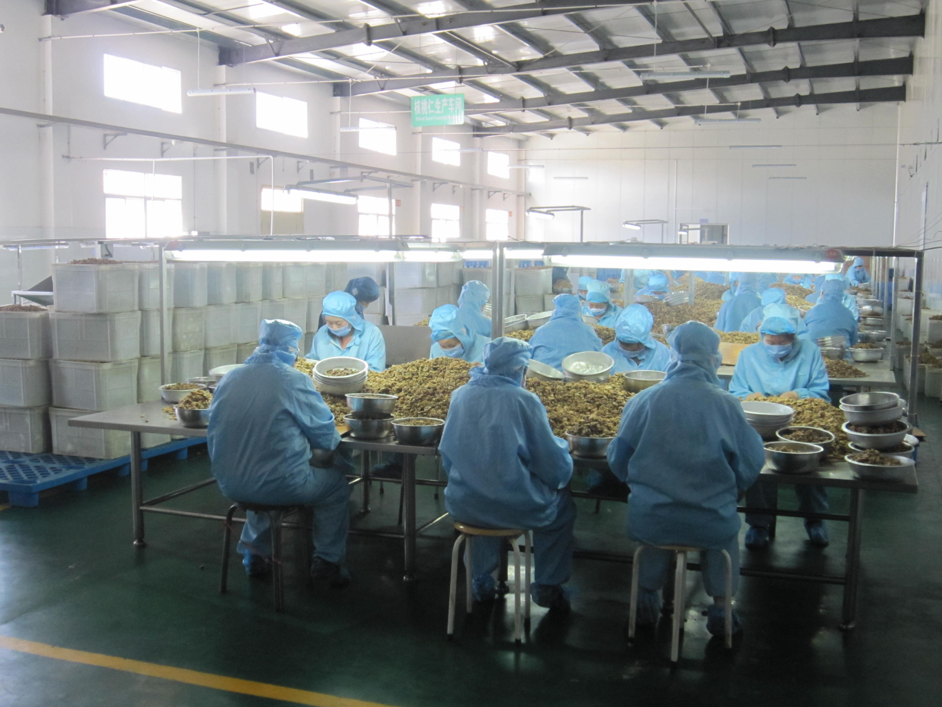 Sanmenxia Huayang Food Co., Ltd. – Other Nuts and Nuts 3