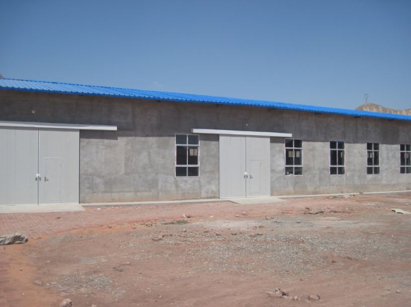 Gansu Liangxin Vegetable Preservation Co., Ltd. – lily 2