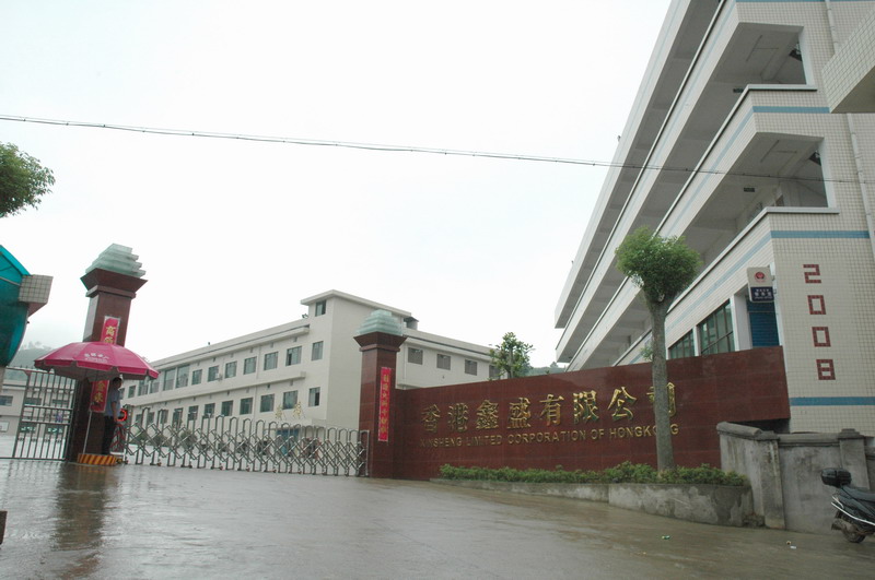Xinhua County Xinsheng Handbag Craft Co., Ltd. – handbags 2