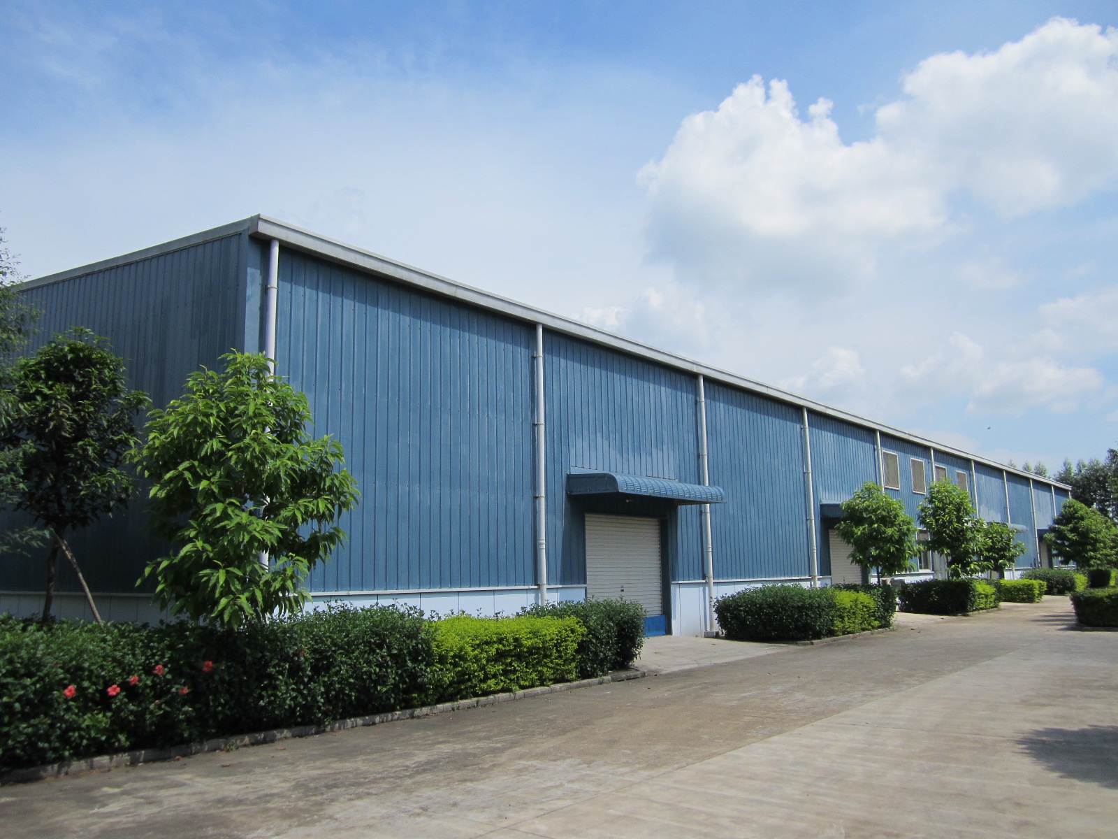 Beihai Jinzhi Natural Health Food Co., Ltd. – Dried chili peppers 1