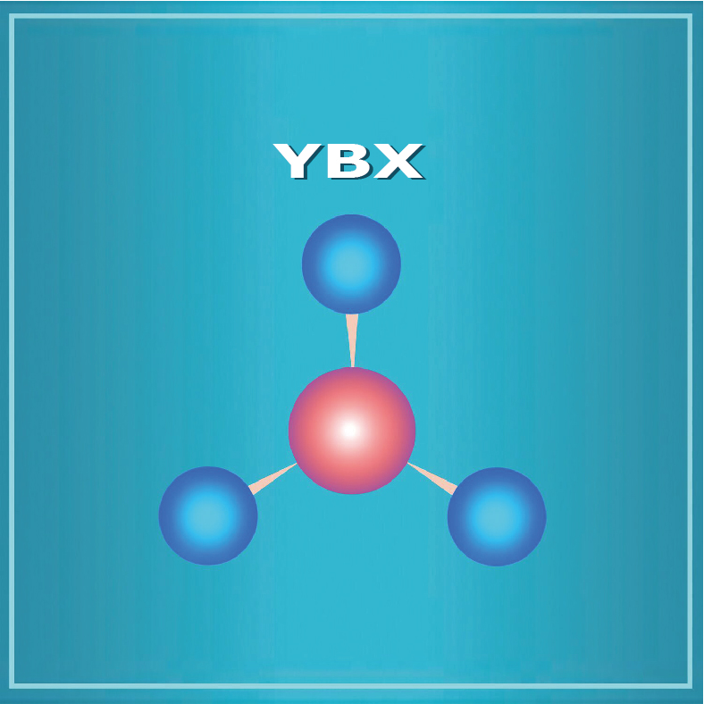 Guangxi Yabanxi Import and Export Co. Ltd
