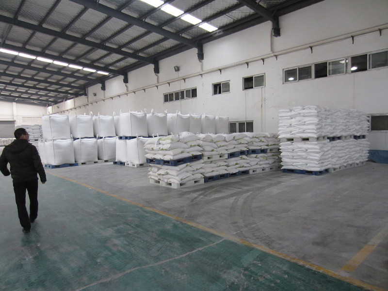 Suzhou Wanshen Noodle Products Co., Ltd. – Product photos 2