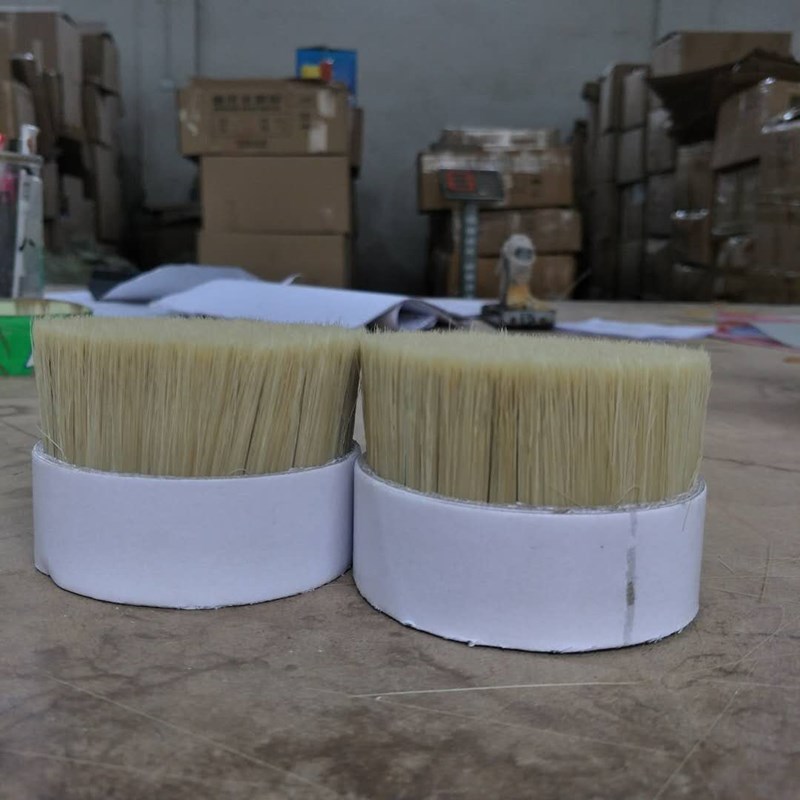 Bristle mixture5:5
