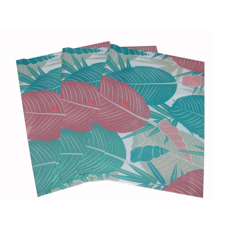 Printing Clear Bag