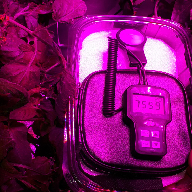LED植物灯 VG504-270W
