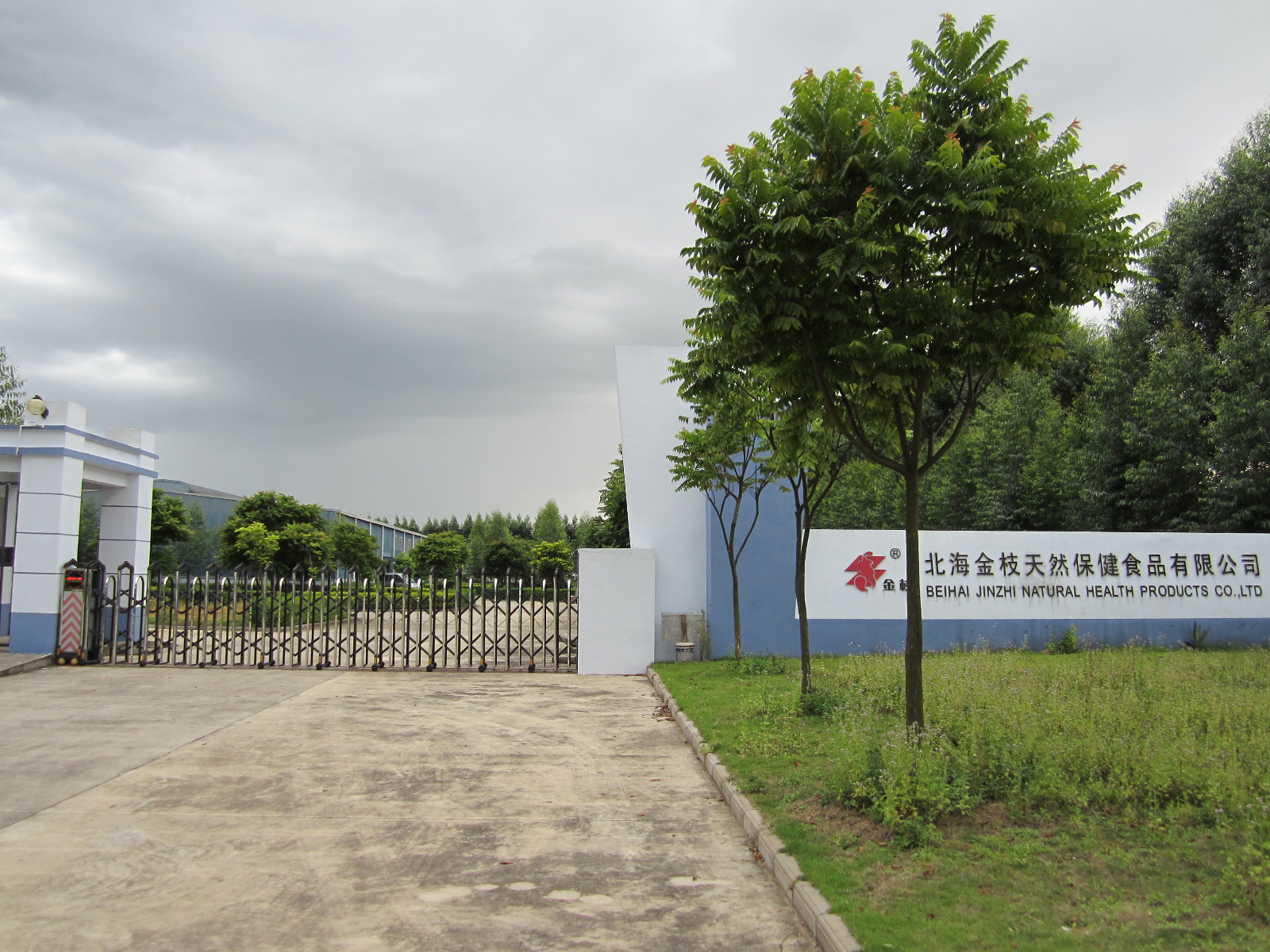 Beihai Jinzhi Natural Health Food Co., Ltd. – chili powder 2