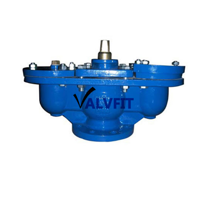 Double orifice air release valve