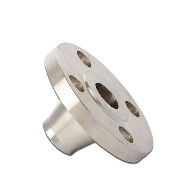 CS SS304 SS316 Steel Flange