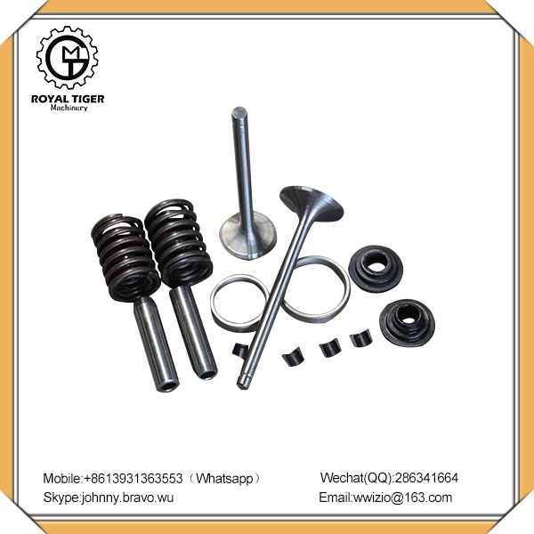 TIANJIN ROYAL TIGER MACHINERY IMPORT AND EXPORT Co.,LTD – molde de inyección 1