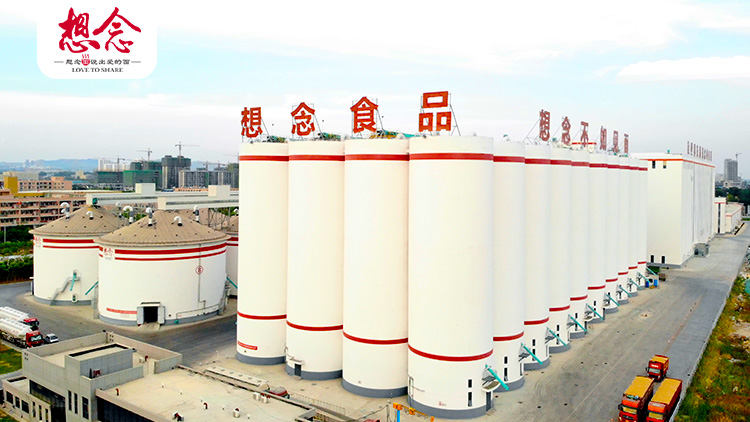 Xiangnian Foods Co., Ltd. – Other food 1